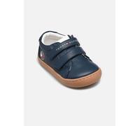 Tommy Hilfiger Lucky Barefoot 23 Azul