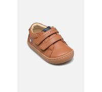 Tommy Hilfiger Lucky Barefoot 26 Marrón