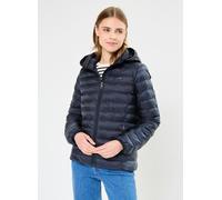 Tommy Hilfiger Lw Padded Global Str WW0WW42046 XXL Azul