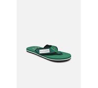 Tommy Hilfiger PATCH HILFIGER BEACH 45 Verde