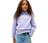 Tommy Hilfiger Sudadera Chicas High Crew Neck con Cuello Redondo, Morado (Periwinkle Dusk), 16 Años