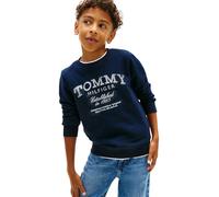 Tommy Hilfiger Sudadera Chicos Faded Print con Cuello Redondo, Azul (Dark Night Navy), 16 Años