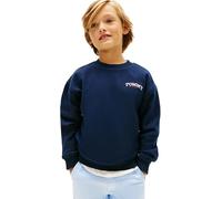 Tommy Hilfiger Sudadera Chicos Monotype Graphic con Cuello Redondo, Azul (Dark Night Navy), 2 Años