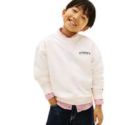 Tommy Hilfiger Sudadera Chicos Monotype Graphic con Cuello Redondo, Marfil (Ancient White), 4 Años