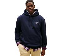 Tommy Hilfiger Sudadera con Capucha para Hombre BT-Brand Love Hilfiger Hoody-B MW0MW42995, Azul, 3XL_Plus, Azul (Desert Sky), 3XL Grande