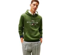 Tommy Hilfiger Sudadera con Capucha para Hombre, Marca Love Big Hilfiger MW0MW41427, Verde, L, Verde (Pino de montaña), L