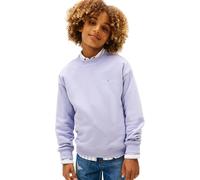 Tommy Hilfiger Sudadera Infantil Unisex Corp C-Neck con Cinturilla de Punto Acanalado, Morado (Periwinkle Dusk), 16 Años