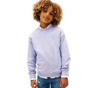 Tommy Hilfiger Sudadera Unisex Mini Corp con Cuello en C KS0KS00665, Color Azul (Periwinkle Dusk), 8 años, Azul (Periwinkle Dusk), 8 Years