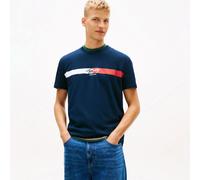 Tommy Jeans Camiseta de hombre regular fit DM0DM22539-C1G S