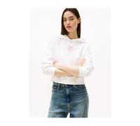 Tommy Jeans Sudadera con capucha DW0DW21408-YBL L