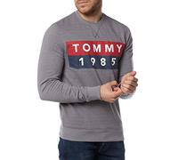 Tommy_Jeans Tjm Basic Logo Cn Hknit L/s 11, sudadera Hombre, Gris (Lt Grey Htr 038), XX-Large