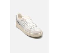 Tommy Jeans TJW RETRO BASKET SNE W 38 Gris