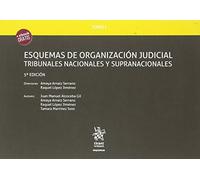Tomo I Esquemas de Organización Judicial Tribunales Nacionales y Supranacionales 5ª Edición 2018