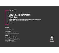 Tomo LI Esquemas de Derecho Civil II-1 Teoría general de las obligaciones y teoría general del contrato. Responsabilidad civil y cuasicontratos 3ª Edición
