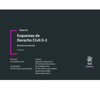 Tomo LII Esquemas de Derecho Civil II-2 Derecho de contratos 4ª Edición