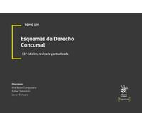 Tomo XXI Esquemas de Derecho Concursal 15ª Edición, revisada y actualizada (esquemas procesales)
