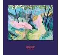 Tomorrow The Rain Will Fall Upwards - Wreck His Days [VINYL] [Vinilo]