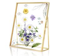 Tomotato Marco de Fotos de Metal, Marco de Vidrio Marcos para Flores Prensadas Portamuestras de Vidrio Transparente Estante de Exhibición de Certificados Estante de Almacenamiento de Fotos