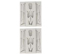 Tomotato Molde de Calavera Silicona 2 Piezas, Molde Esqueleto Reutilizable para Repostería Chocolate Horno y Lavaplatos, Molde Flexible para Helados Dulces Fiestas Temáticas Hallow