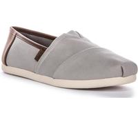 TOMS Alpargata_Drizzle Grey ZapatillasHombre