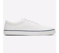 Toms Hombre Alpargata Fenix Zapatillas Cordones Informal Blanco