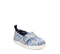 TOMS Mocasín clásico Alpargatapara niño, Drizzle Grey Glow in The Dark Great White Shark, 8 UK Child
