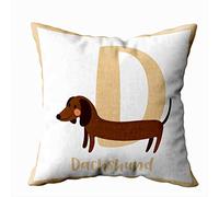 TOMWISH Fundas de almohada decorativas de 20 x 20 pulgadas, diseño de animales del zoológico, letras del alfabeto, perro salchicha, para aprender inglés, ilustración D, funda de cojín decorativa para