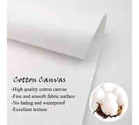 TONGYINLI Cuadro de Jesús caminando sobre el agua, lienzo cristiano para pared, pósteres e impresiones inspiradores, decoración religiosa (70 x 110 cm/sin marco)