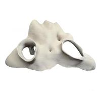 TONIXY Escondite de raíz de manglar sintético que ahorra espacio para acuario o terrario, hecho de polilactida a base de plantas con diseño de raíz texturizada de aspecto natural, seguro para peces