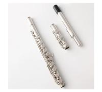 Tono C de 16 orificios cerrados para que principiantes profesionales toquen instrumentos musicales famosos Principiantes Flauta