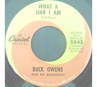 TONY BOOTH - what a liar i am / loving you 45 rpm single