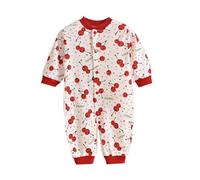 Tony Conrad With Faust - Outside the Dream Syndicate