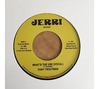 Tony Troutman - What's The Use [Vinilo]
