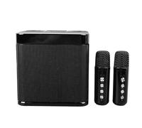 Tonysa Altavoces Inalámbricos para Karaoke, Máquina de Karaoke Portátil con 2 Micrófonos Inalámbricos, Sistema PA para Fiesta en Casa y Camping
