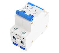 Tonysa Miniature Circuit Breaker, High Capacity 2P Switch (63A)