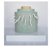TONZN Modelo de anatomía del sistema de raíces de dicotiledón, modelo médico de anatomía de plantas, material de PVC, modelo de enseñanza de anatomía de plantas Géminis