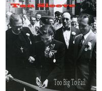 Too Big to Fail