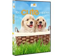 Too Cute Puppies [Import USA Zone 1]