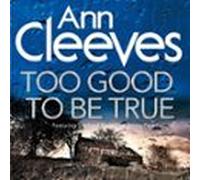 too good to be true (audiolibro)