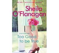 Too Good To Be True (ebook)