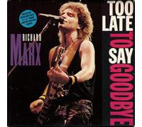 Too late to say goodbye (LP Version, 4:51min., 1989, b/w 'Satisfied [live]', 'Endless summer nights [live]') / Vinyl Maxi Single [Vinyl 12'']