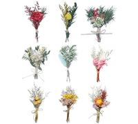 TooGet 9Pcs Mini Ramos de Flores Secas Real Pequeño Ramo Floral Boho Flores Secas Naturales para Bricolaje Artesanías Torta Embalaje Regalo Decoración de Boda y Decoraciones para el Hogar