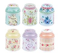 TooGet Elegantes Latas Vacías, Shabby Chic Mini-cajas Para Velas DIY, Almacenamiento en Seco, Especias, Té, Dulces, Regalos para Fiestas, y Regalos - 6PCS