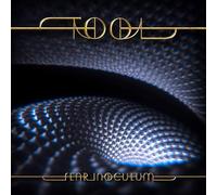 Tool - Fear inoculum Limited Edition w/ HD Screen Video Player & Download Card Variant 3 : Danny's Drum Kit & Adam's Mural