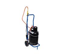 Toolland Carro azul para botellas de gas y cilindros, capacidad de 100 kg, cadena de seguridad ajustable, marco de acero inoxidable, ruedas grandes, ideal para botellas de propano, barriles de cerveza