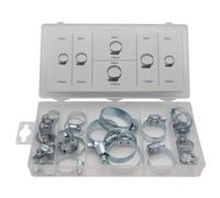 Toolland Gama de abrazaderas de manguera, 26 piezas, diferentes tamaños, de color níquel