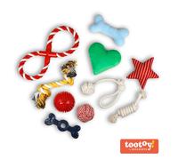 Tootoy! Chew Exploration Toys - Set de juguetes para cachorros