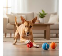 Tootoy! Pack de Pelotas de Tenis de Colores para perros