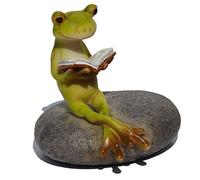 Top Collection - Figura de rana en miniatura para jardín de hadas y terrario