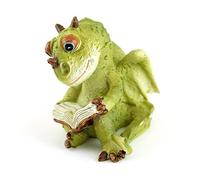 Top Collection Libro de Lectura de dragón de jardín en Miniatura